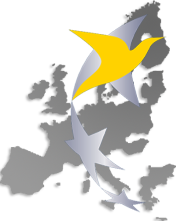 QAI EASA Certificate